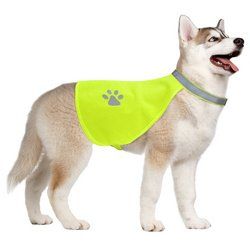 Medium Hi-Vision Reflective Safety Vest